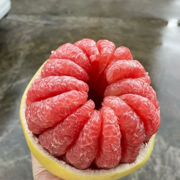 平和县正宗琯溪蜜柚