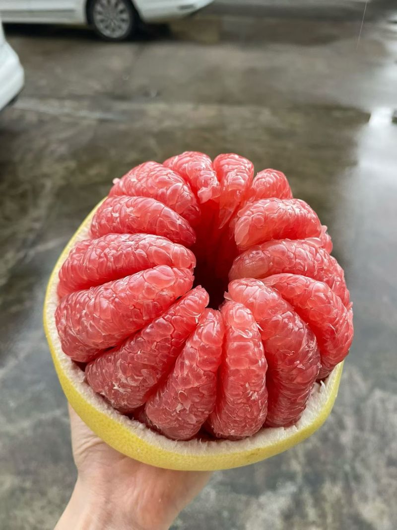 平和县正宗琯溪蜜柚
