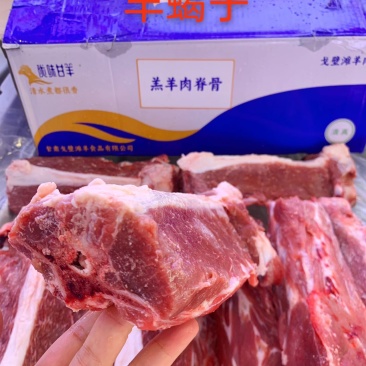 羊蝎子