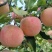 红富士苹果