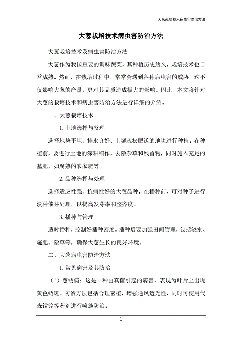 中华常春藤小叶扶芳藤杯苗