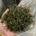 安吉白茶