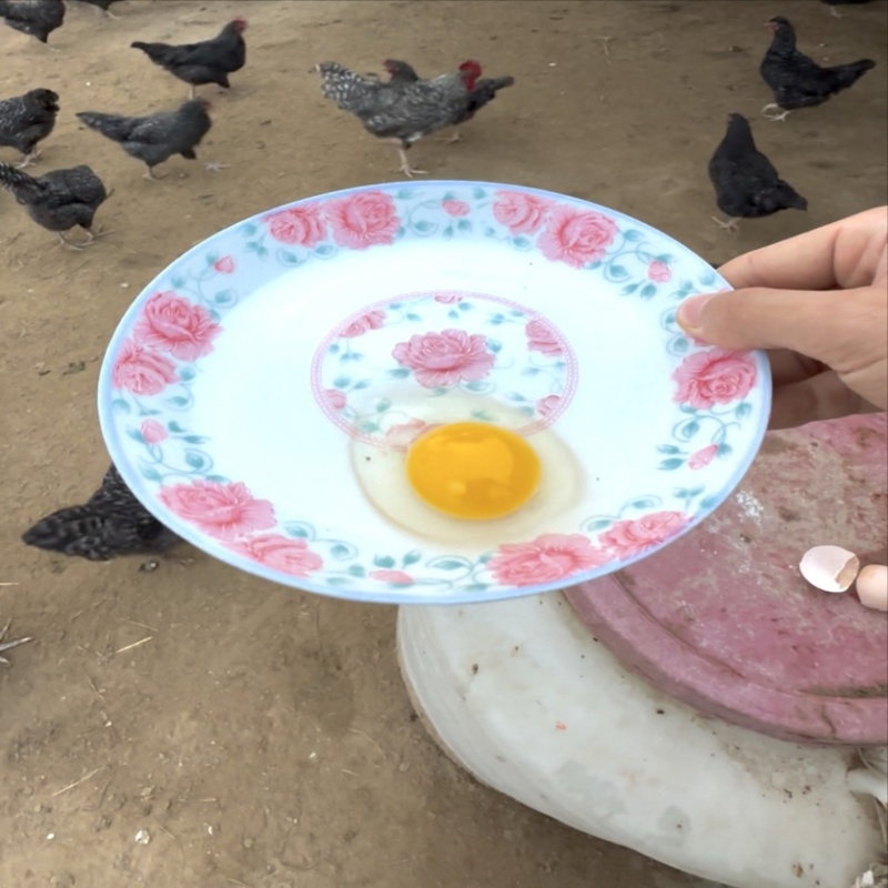 汶上芦花鸡土鸡蛋。农村散养。