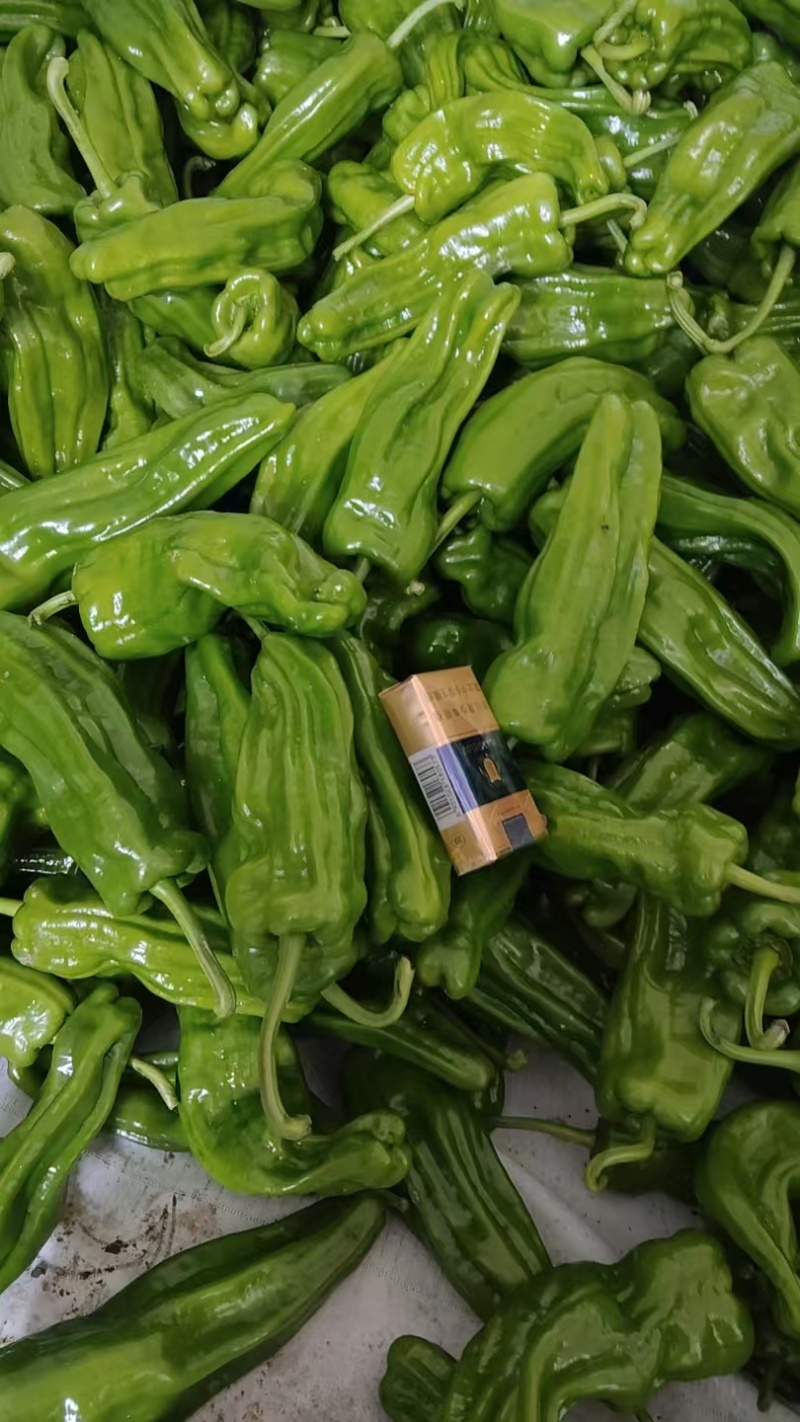 虎皮椒
