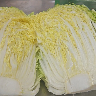 黄心大白菜