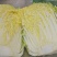 黄心大白菜