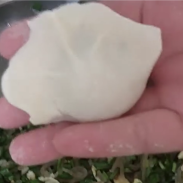 私房手工鲜水饺混沌