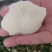 私房手工鲜水饺混沌