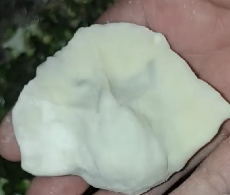 私房手工鲜水饺混沌