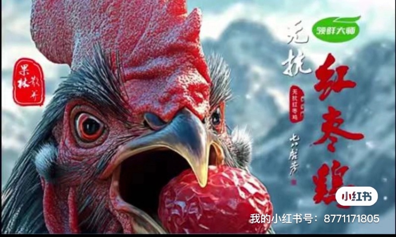 新疆无抗红枣鸡