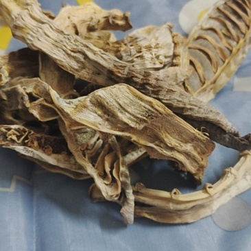 湖南干笋