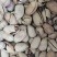 碧根果电商货、大货以进仓、量大来谈