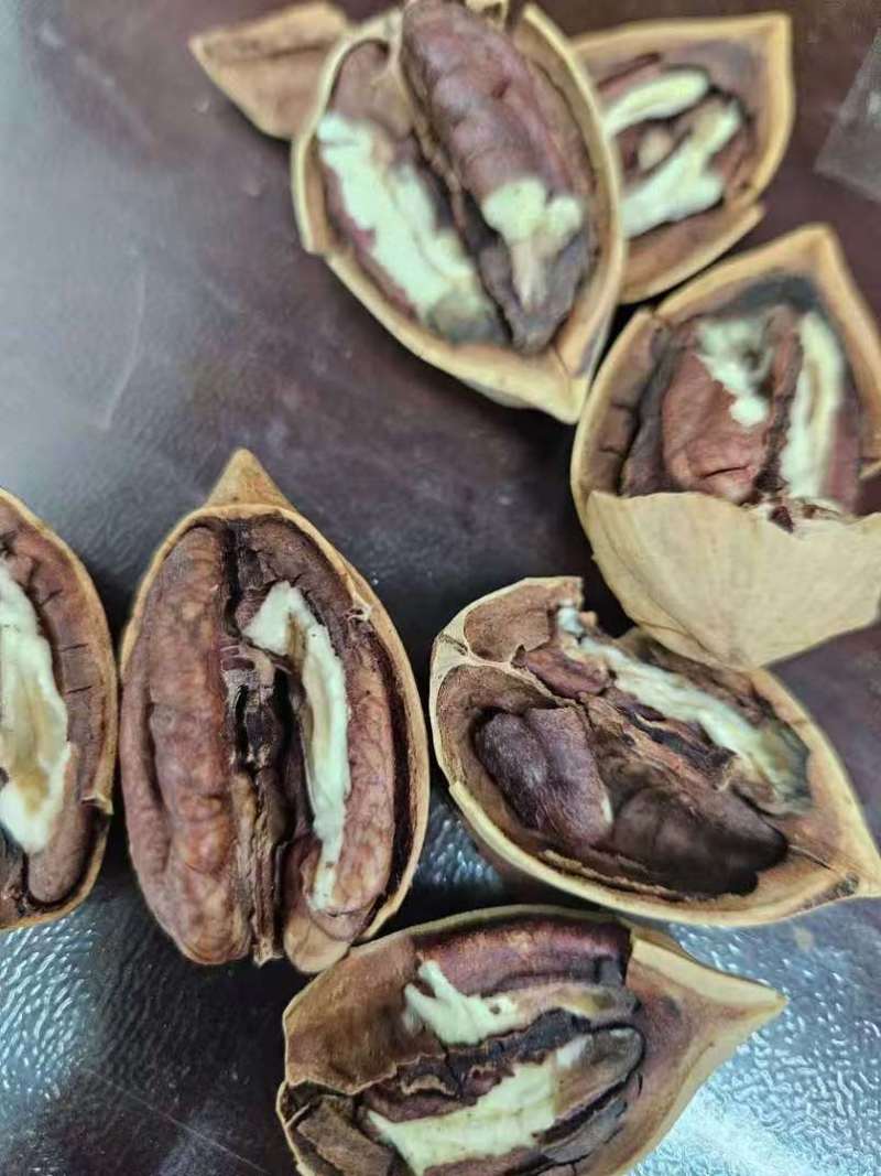 碧根果电商货、大货以进仓、量大来谈