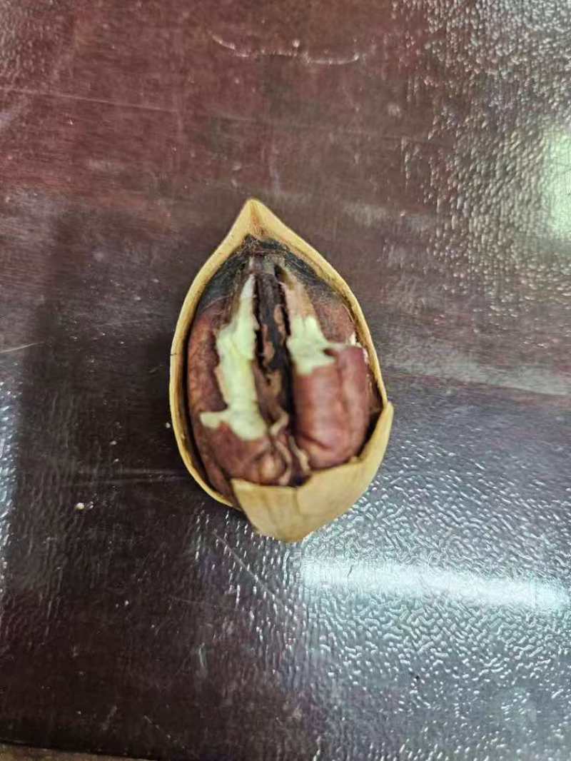 碧根果电商一件代发有量你就来