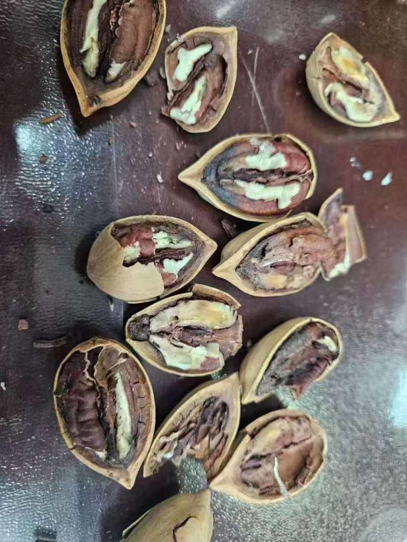 碧根果电商一件代发有量你就来