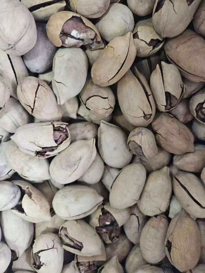 碧根果电商一件代发有量你就来