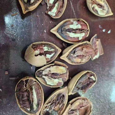 碧根果电商一件代发有量你就来