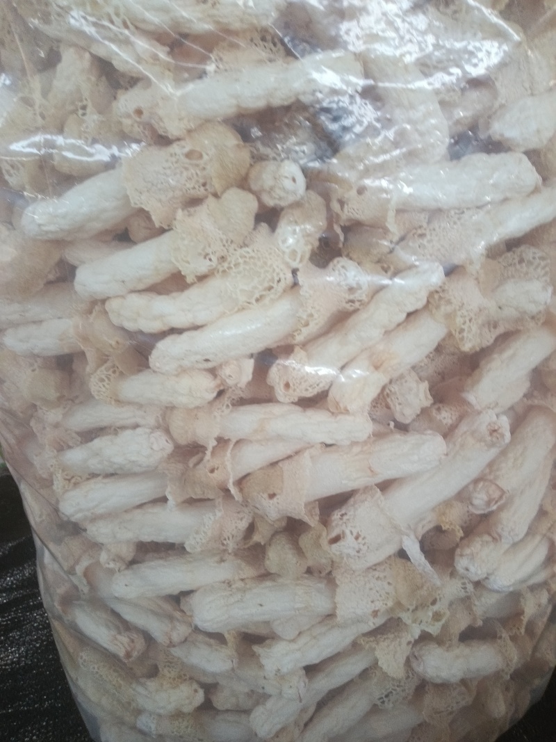 贵州红托竹荪