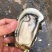 牡蛎批发，精品生蚝，乳山生蚝源头发货，一件发货福建生蚝