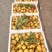 冬枣