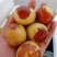 冬枣