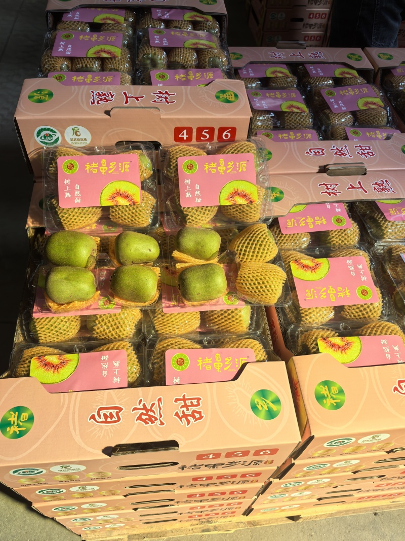 徐香、翠香、红阳、东红、G3、金艳、金桃、海沃德