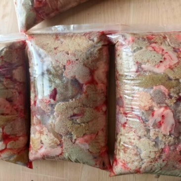 鲤鱼籽整籽