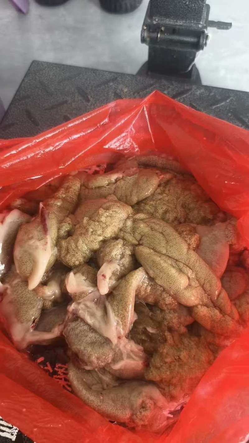 鲤鱼籽整籽