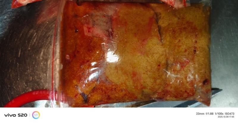 鲤鱼籽整籽