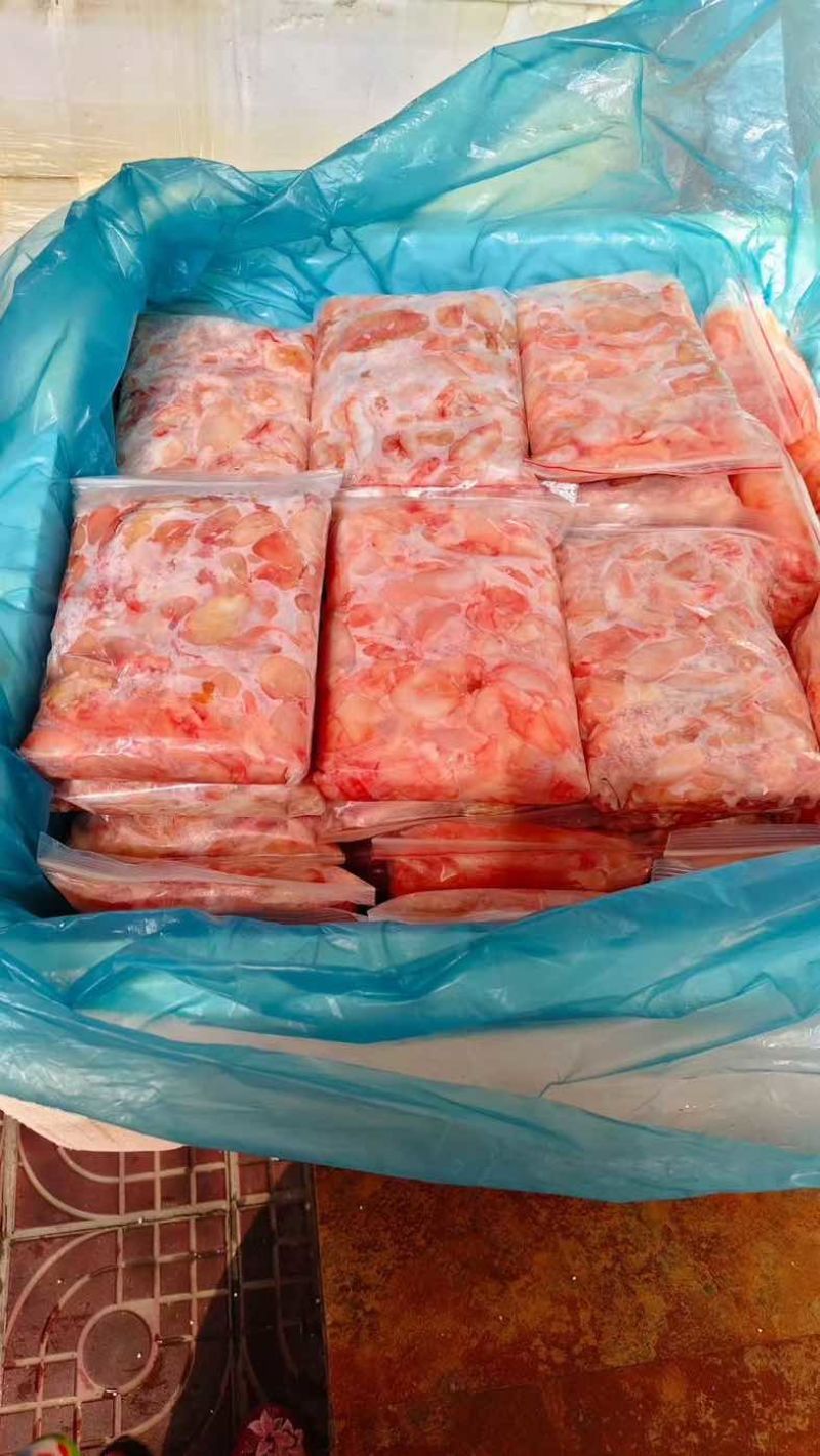 鲤鱼泡放气