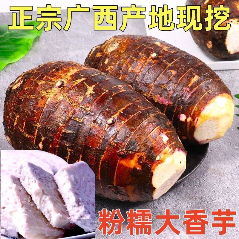 广西恭城瑶族自治县香芋头