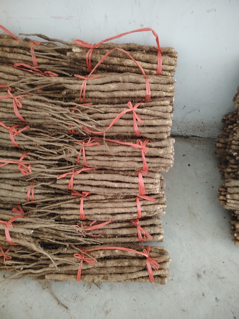 温县垆土铁棍山药
