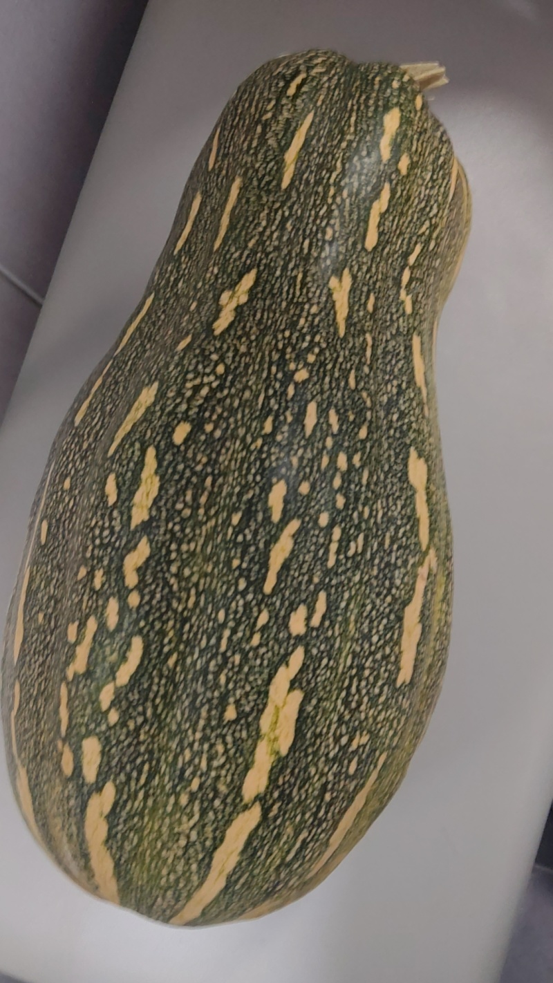 蜜本南瓜