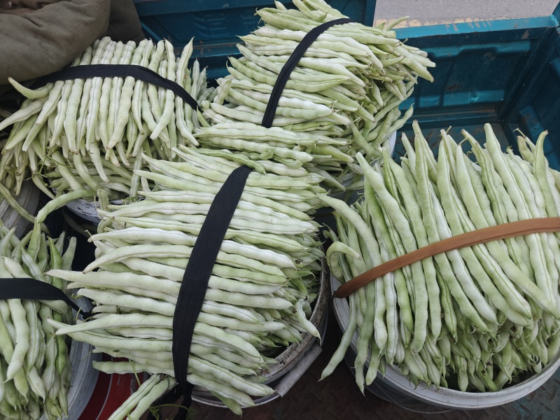 精品芸豆