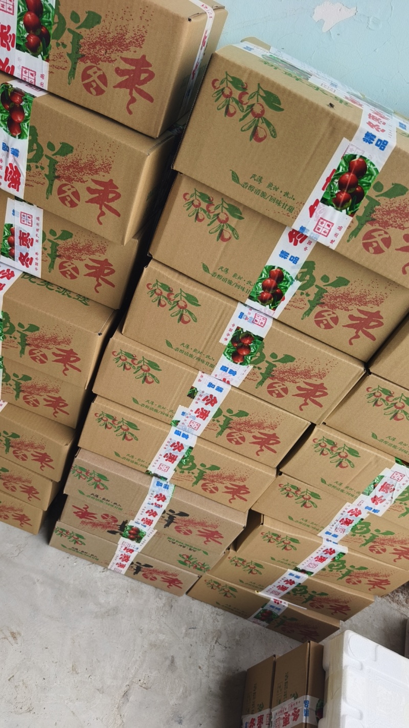 冬枣代购代发***********