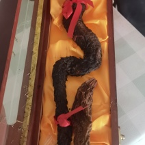 肉苁蓉。