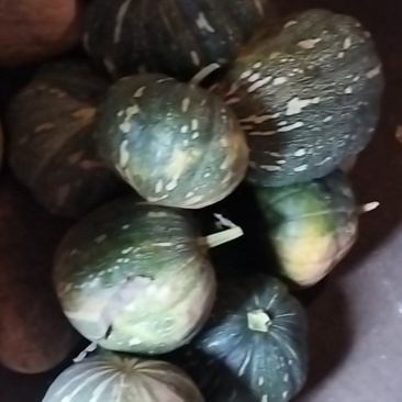 窝瓜