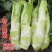 棒菜