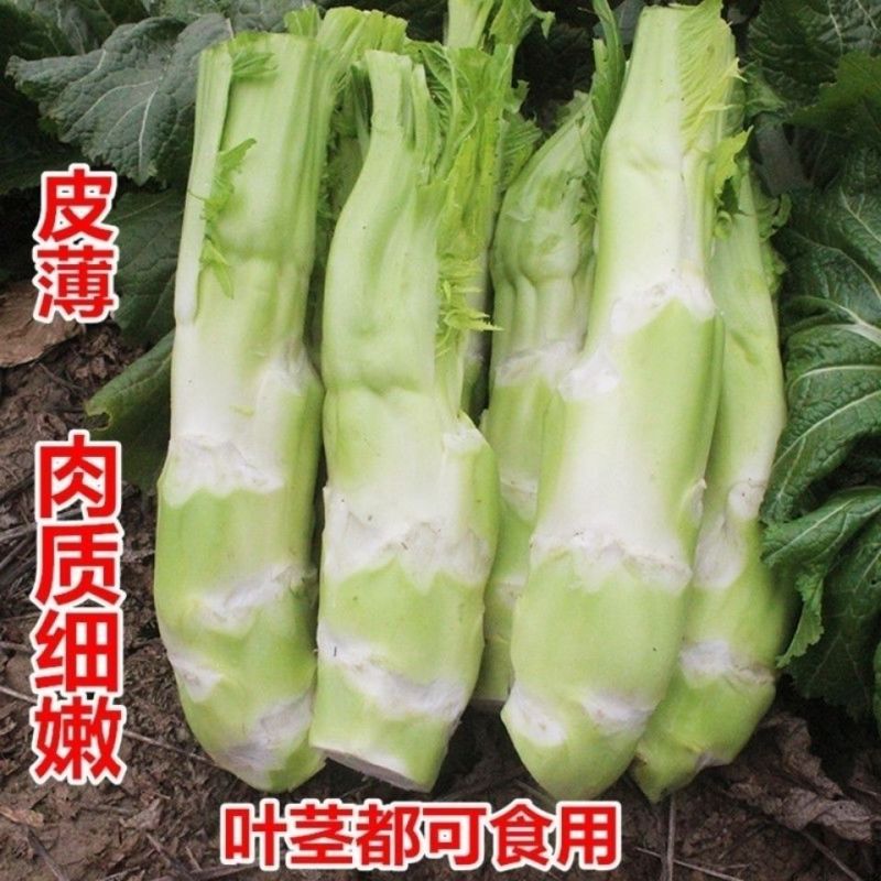 棒菜