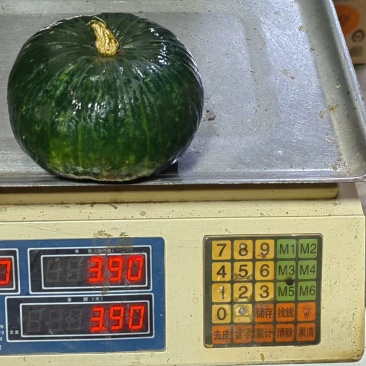 贝贝南瓜