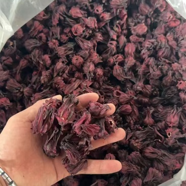 洛神花