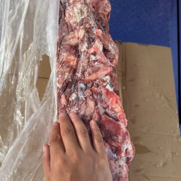 后脖肉