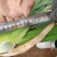 东北大葱笨大葱葱味浓郁