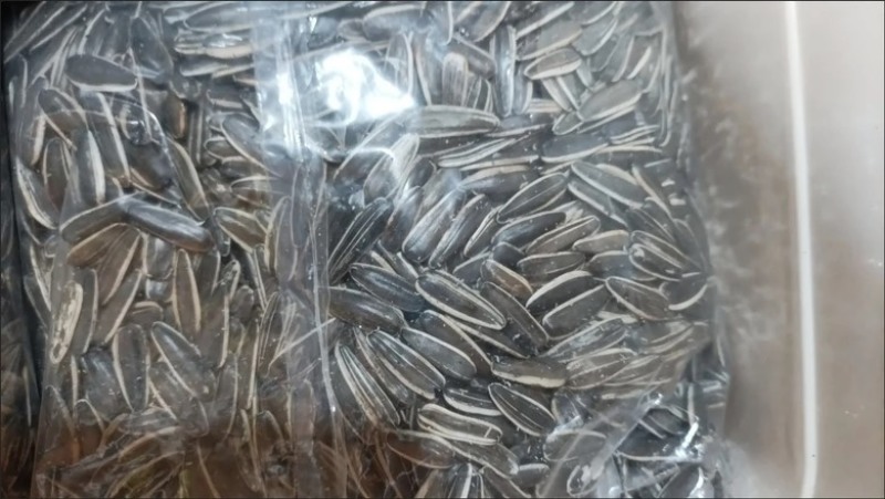葵花子大货批发