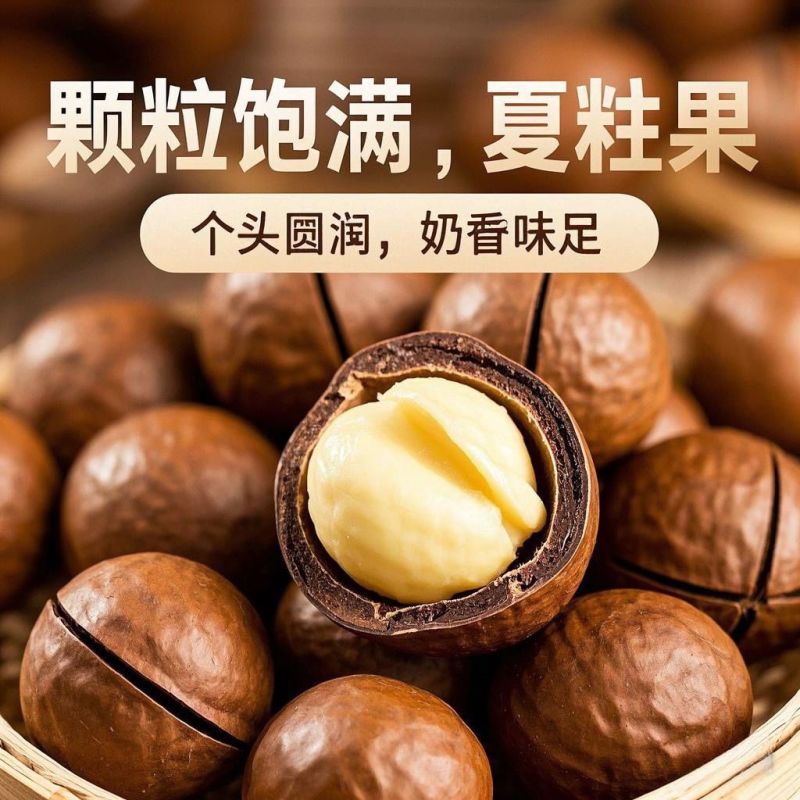 夏威夷果新货电商待发批量拿货