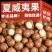 夏威夷果电商一件代发批量拿货有量有价