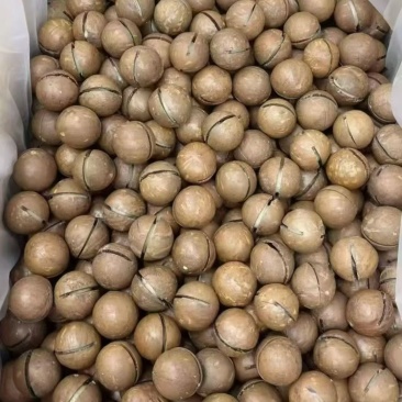 夏威夷果电商一件代发批量拿货有量有价