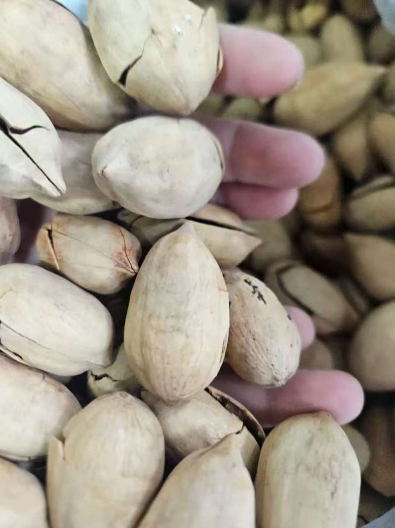 碧根果大量现货，电商货一件代发