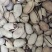 碧根果大量现货，电商货一件代发