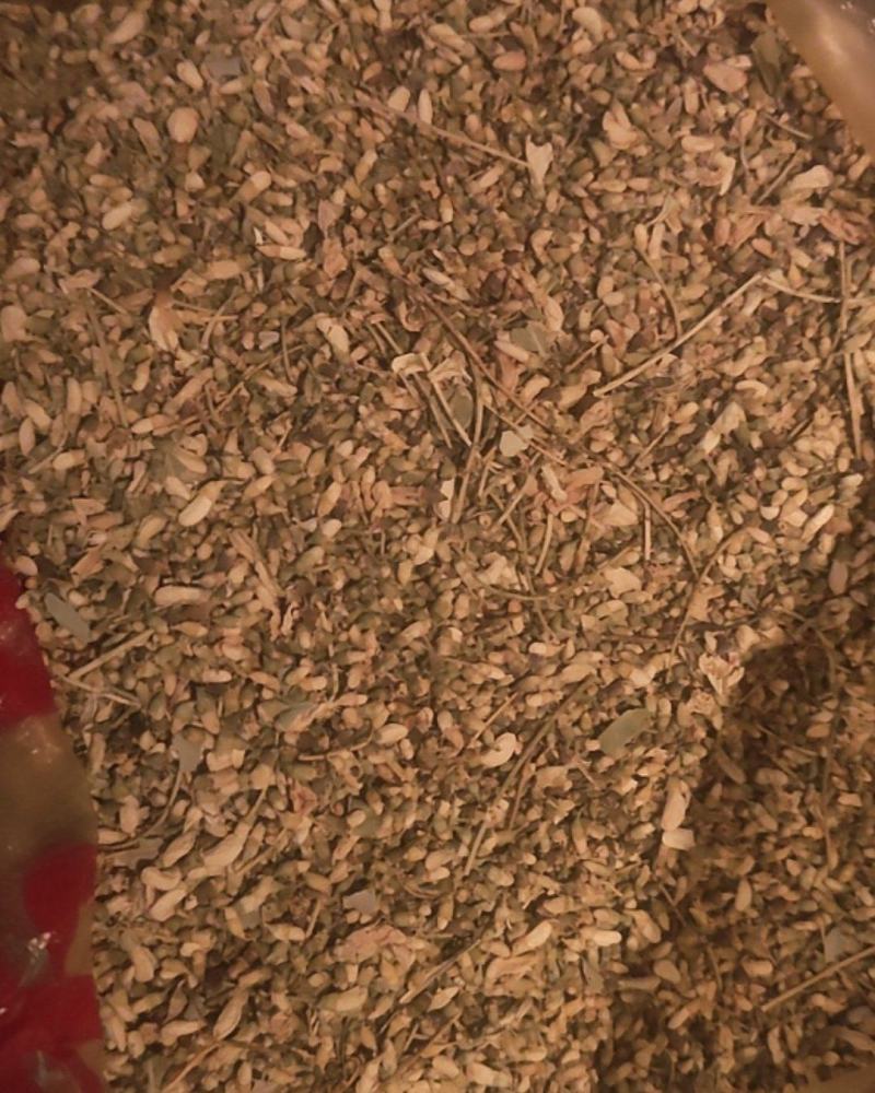 槐米
